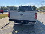 2024 F-150 Thumbnail 6