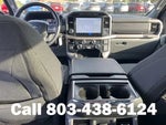 2024 F-150 Thumbnail 11