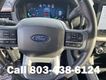 2024 F-150 Thumbnail 14