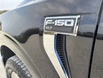 2024 F-150 Thumbnail 7