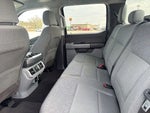 2024 F-150 Thumbnail 21