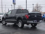 2024 F-150 Thumbnail 29