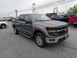 2024 F-150 Thumbnail 8
