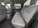 2024 F-150 Thumbnail 14