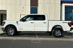 2024 F-150 Thumbnail 6