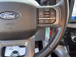 2024 F-150 Thumbnail 15