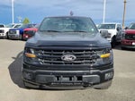 2024 F-150 Thumbnail 5