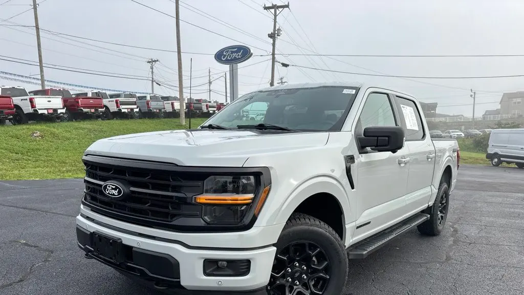 Preowned 2024 Ford F-150 XLT for Sale