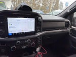 2025 F-150 Thumbnail 11