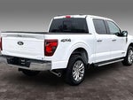 2025 F-150 Thumbnail 28