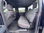 2025 F-150 Thumbnail 15