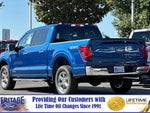 2025 F-150 Thumbnail 6