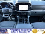 2025 F-150 Thumbnail 13