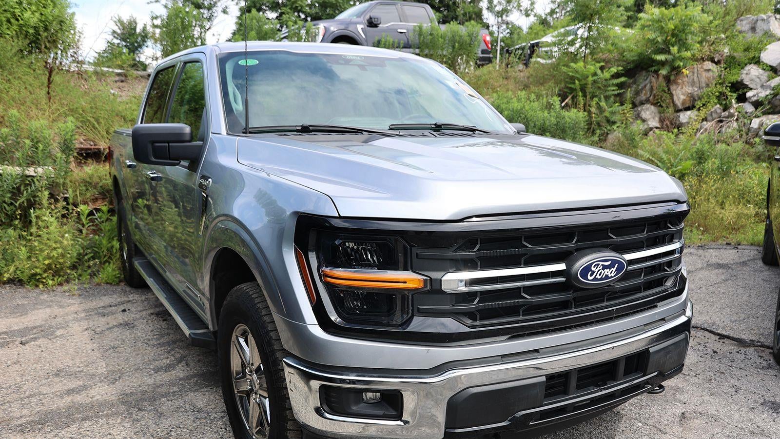 Preowned 2025 Ford F-150 XLT for Sale