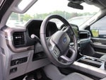 2025 F-150 Thumbnail 8
