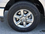 2025 F-150 Thumbnail 13