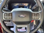 2025 F-150 Thumbnail 15