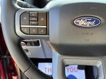 2025 F-150 Thumbnail 17