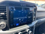 2025 F-150 Thumbnail 14