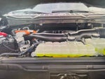 2025 F-150 Thumbnail 6