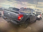 2025 F-150 Thumbnail 15