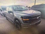 2025 F-150 Thumbnail 18