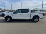 2024 F-150 Thumbnail 2