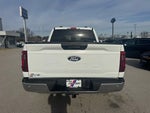2024 F-150 Thumbnail 4