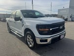 2024 F-150 Thumbnail 7