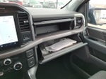 2024 F-150 Thumbnail 17
