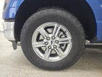 2024 F-150 Thumbnail 10