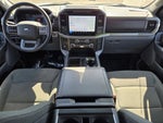 2024 F-150 Thumbnail 12