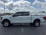 2024 F-150 Thumbnail 6