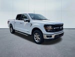 2024 F-150 Thumbnail 4