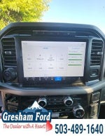 2024 F-150 Thumbnail 19