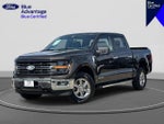 2024 F-150 Thumbnail 1