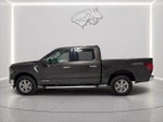 2024 F-150 Thumbnail 2