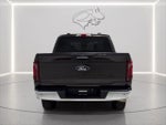 2024 F-150 Thumbnail 4