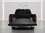2024 F-150 Thumbnail 5
