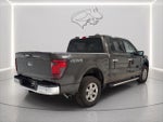 2024 F-150 Thumbnail 6