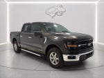 2024 F-150 Thumbnail 8