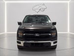 2024 F-150 Thumbnail 10