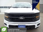 2024 F-150 Thumbnail 10