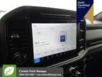 2024 F-150 Thumbnail 18
