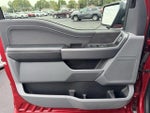 2024 F-150 Thumbnail 2