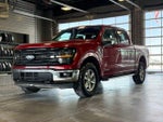 2024 F-150 Thumbnail 4