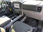2024 F-150 Thumbnail 21