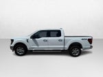 2024 F-150 Thumbnail 8