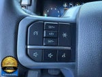 2024 F-150 Thumbnail 10