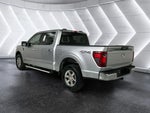2024 F-150 Thumbnail 6